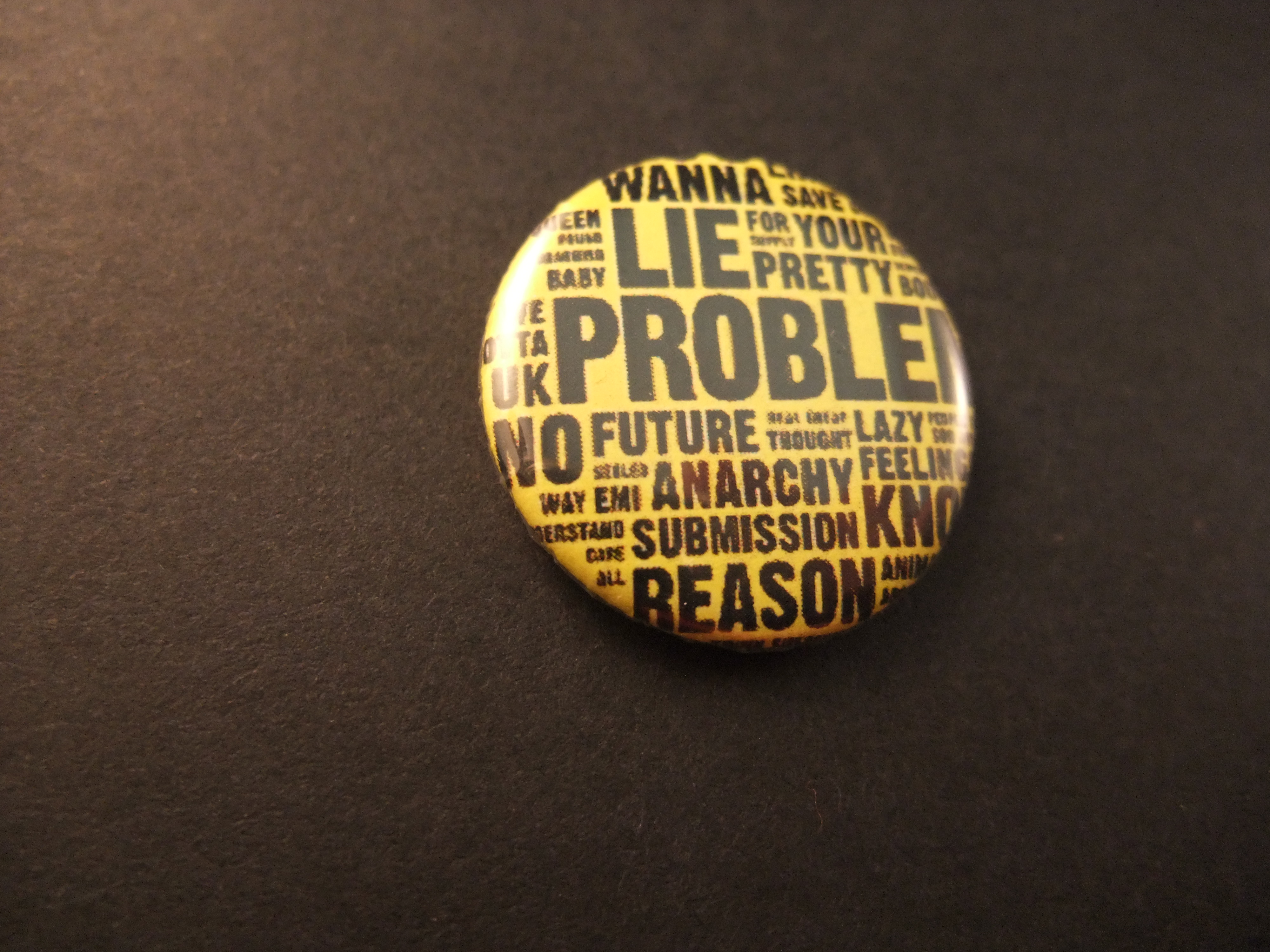Wanna Lie problem,No Future, Anarchy muziek,Punk teksten